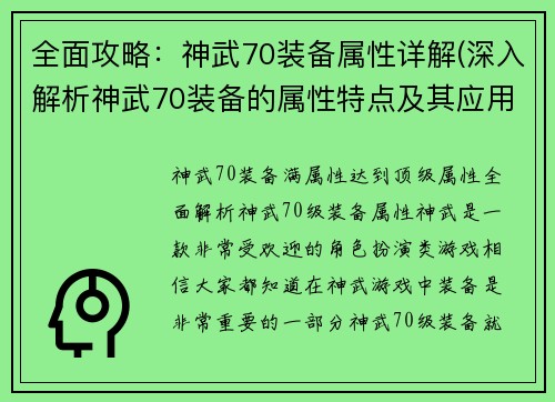 全面攻略：神武70装备属性详解(深入解析神武70装备的属性特点及其应用)